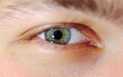 13° Convegno Assottica, un programma che guarda al futuro