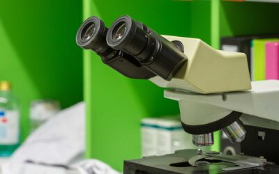 Aggiornamento da parte del Garante della Privacy in tema GDPR